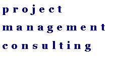 Textfeld: projectmanagement consulting